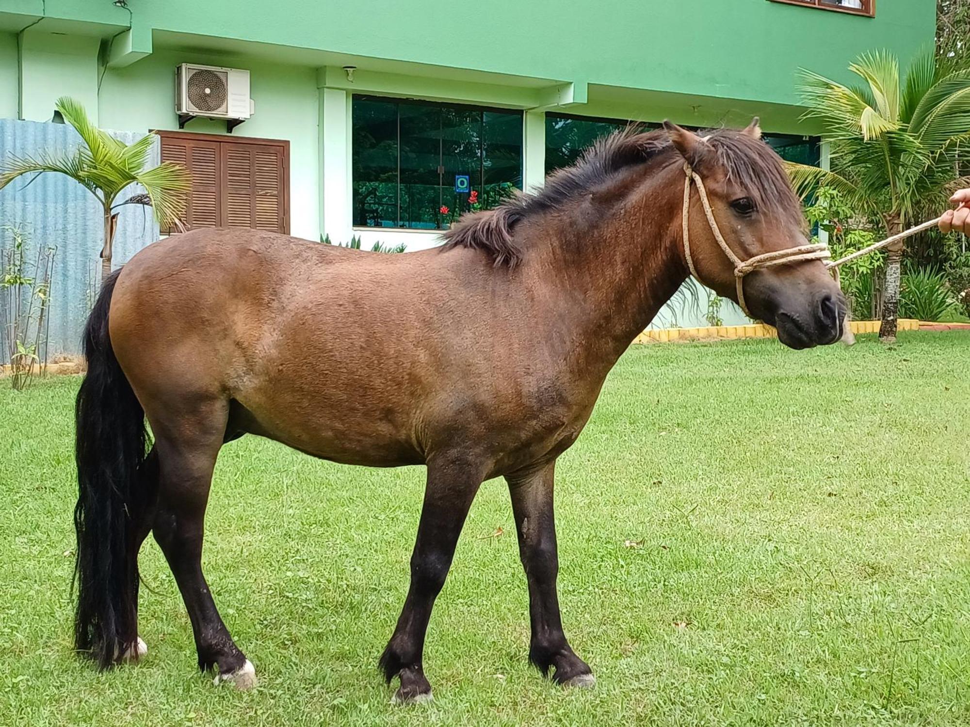 Pousada Chacara Rio Jordao Florianópolis Екстериор снимка