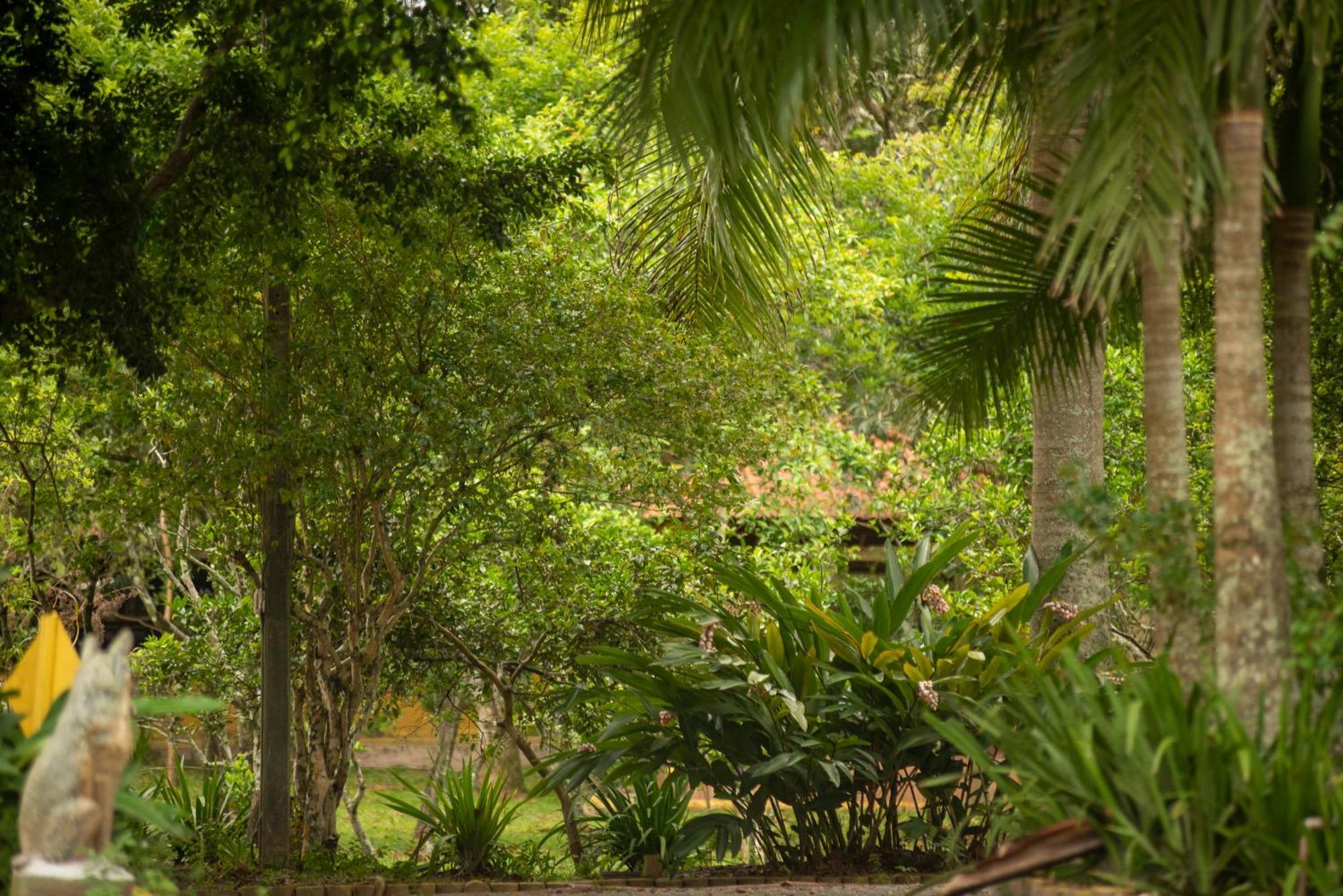 Pousada Chacara Rio Jordao Florianópolis Екстериор снимка